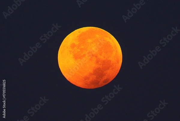 Obraz 満月と皆既月食(2025.9.8撮影)