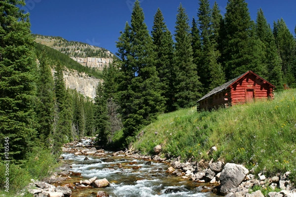 Obraz along the creek