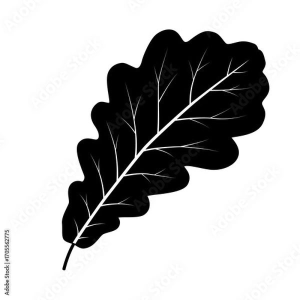 Obraz Oak leaf icon. PNG with transparent background.