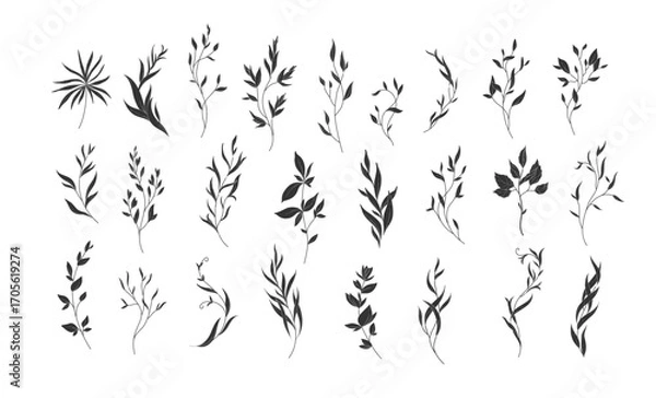 Obraz Set of sophisticated branch in silhouette or linocut drawing style. Luxury floral collection for wedding invitation, wallpaper art or save the date card