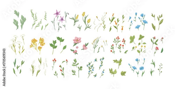 Obraz Floral set with colorful wild flowers and elegant branch. Botanical foliage for wedding invitation or wall art. Vector illustration