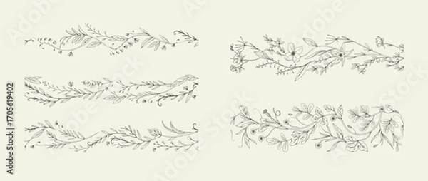 Obraz Botanical seamless horizontal border with detailed various foliage, intricate details and delicate forms. Elegant floral rustic design elements. Hand drawn vintage vector