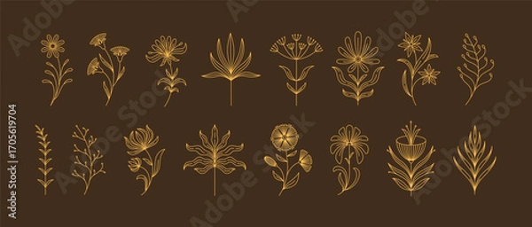 Obraz Set of boho simple geometric branch and flowers. Botanic design elements in wavy and vintage style. Leaves and branches print for logo, social media or packaging and greeting card. Vector illustration