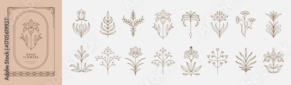 Obraz Set of boho simple geometric branch and flowers. Botanic design elements in wavy and vintage style. Leaves and branches print for logo, social media or packaging