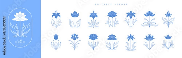 Obraz Set of boho simple geometric branch and flowers. Botanic design elements in wavy and vintage style. Leaves and branches print for logo, social media or packaging