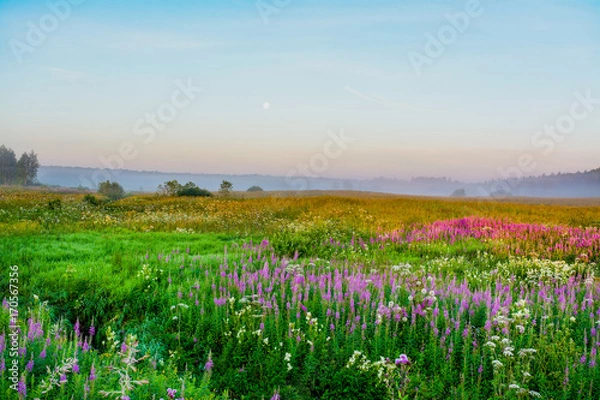 Fototapeta Summer dawn