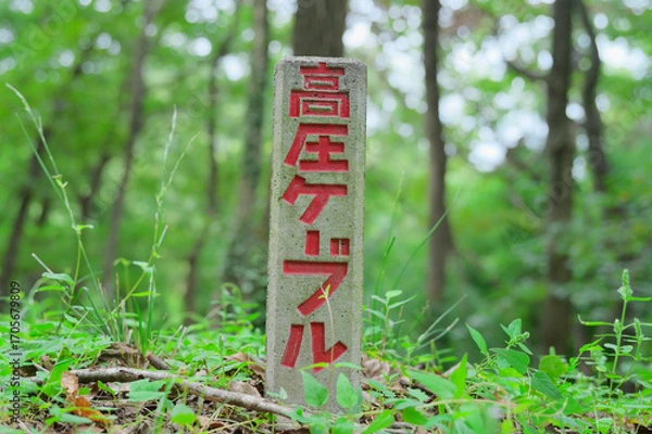 Fototapeta 森の中に立つ高圧ケーブル標識