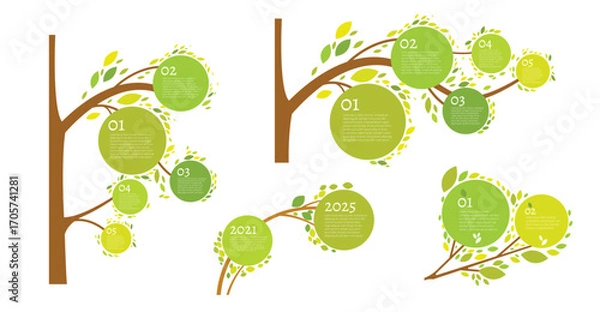 Obraz Vector infographic with green tree branches and circles for data visualization.
