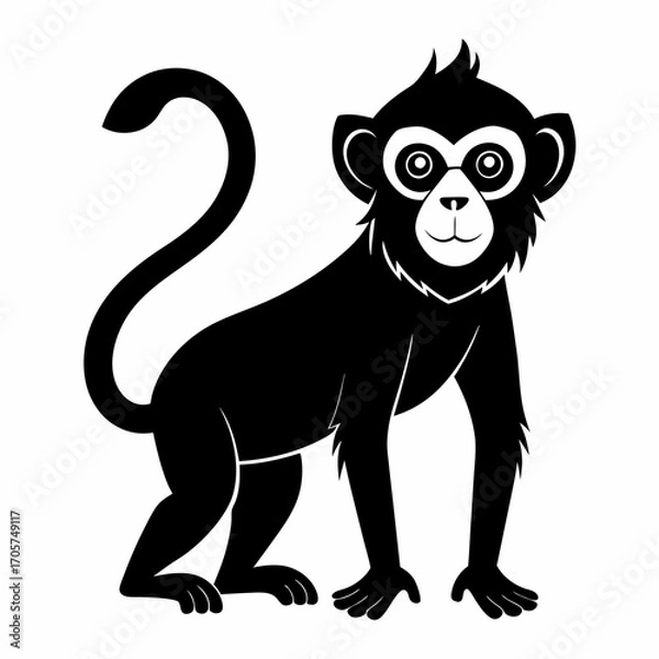 Fototapeta Monkey black silhouette