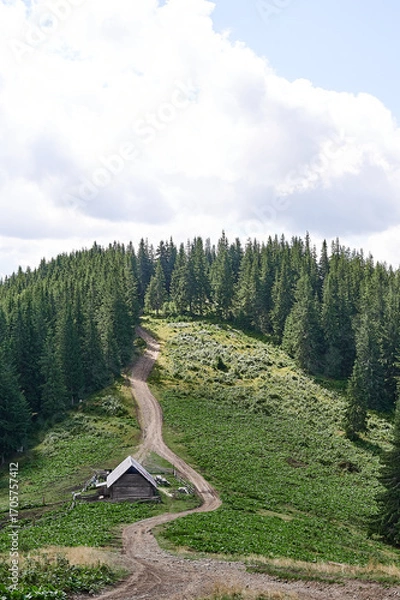 Obraz house in the mountains forest nature sky grass