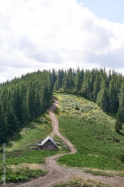Obraz house in the mountains forest nature sky grass