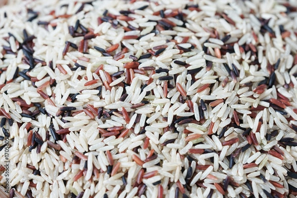 Obraz Rice background.
