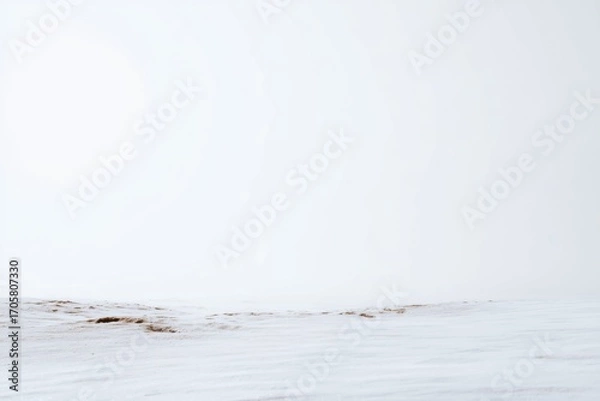Obraz an empty copy space wallpaper or background