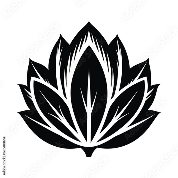 Obraz Wild chicory flowers growing in a sunny meadow with delicate petals