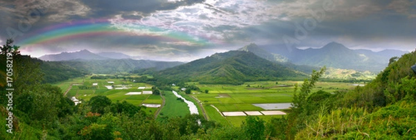 Obraz Panorama pól Taro na Hawajach Kauai