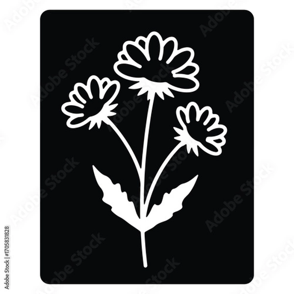 Fototapeta Elegant floral illustration of three blooming dandelions with leaves against a contrasting black background bringing a touch of natural beauty to your design projects