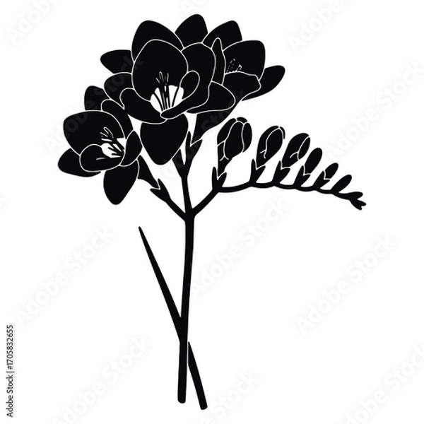 Fototapeta Elegant Freesia Flower Silhouette Vector Illustration Black and White Floral Design for Print and Web Projects Perfect for Branding and Invitations