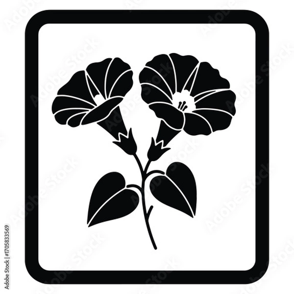 Fototapeta Elegant Morning Glory Flowers in Black and White Graphic Design Illustration in a Frame for Print Media and Web Projects