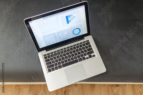 Obraz Notebook work with statistics on sofa business