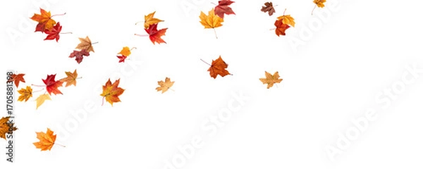 Fototapeta Falling leaves, autumn foliage on transparent background, beautiful background of orange and gold leaves. Vector maple leaf, png, flying foliage from tree.	
