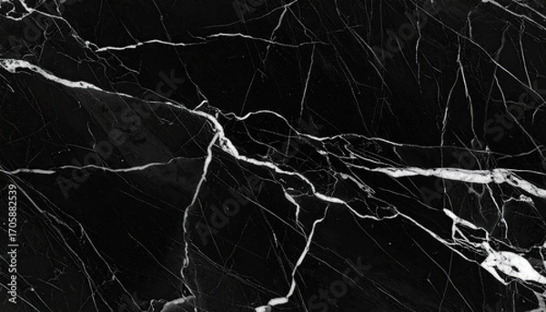 Fototapeta Dark Veined Marble Texture in High Contrast Abstract Pattern with Black and White Tones Stone Surface Background