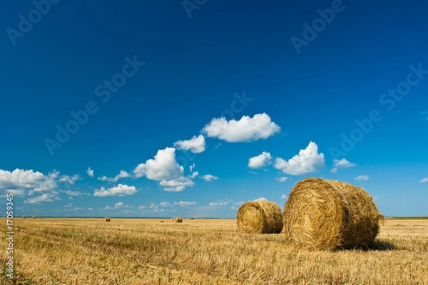 Obraz hay stacks in autumn field