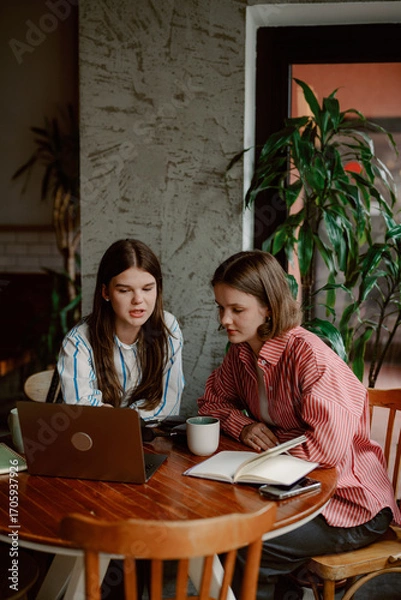 Fototapeta Inside a cozy cafe, two young women are focused on a laptop while sharing ideas. A warm atmosphere offers a perfect backdrop for their study session and brainstorming activities.