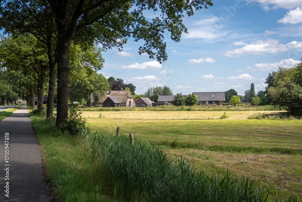 Fototapeta View of a typical homestead in Holland