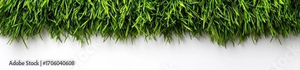 Fototapeta Vibrant green blades sprout, top frame, fading to pure white. Soft shadows define individual shoots, creating texture and organic beauty