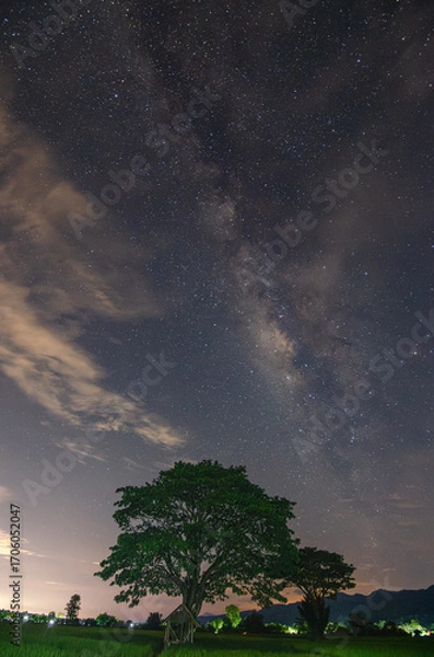 Fototapeta Milky Way shining, trees and hut in the middle of a rice field on a starry night. Space landscape with milky way. Night view. Travel background. Concept.