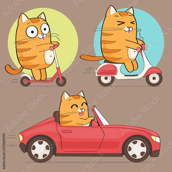 Fototapeta Cute cat character. Set of cute cartoon cat in various poses