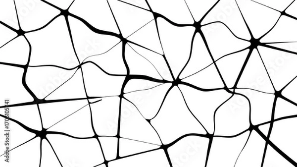 Fototapeta Abstract Neural Network Connection Lines Black and White Background for Science and Technology