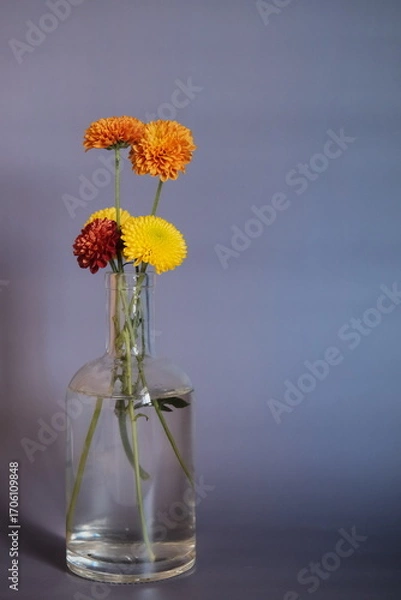 Obraz Arranjo de flores conceituais