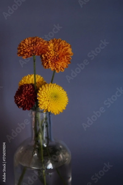 Obraz Arranjo de flores conceituais