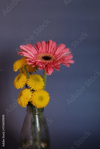 Obraz Arranjo de flores conceituais