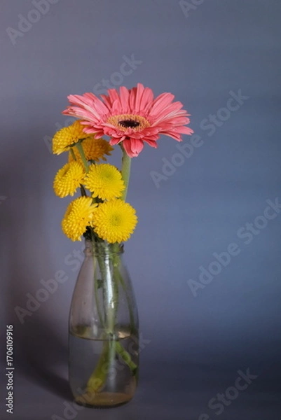 Obraz Arranjo de flores conceituais