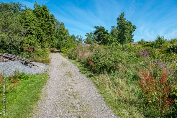 Fototapeta Footpath at Harstena Island in the Baltic Sea. Harstena belongs to the Swedish archipelago of Gryt and is a popular tourist destination.