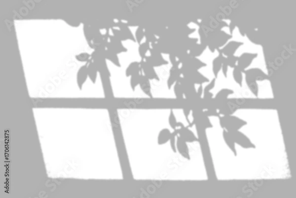 Fototapeta Leaves and window shadows creating a delicate pattern on white.