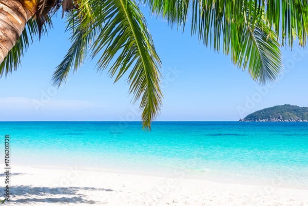 Fototapeta  Amazing white sand beach with coconut palm tree in ​​Similan Islands in Andaman Sea, off the coast and part of Phang Nga Province in southern Thailand.