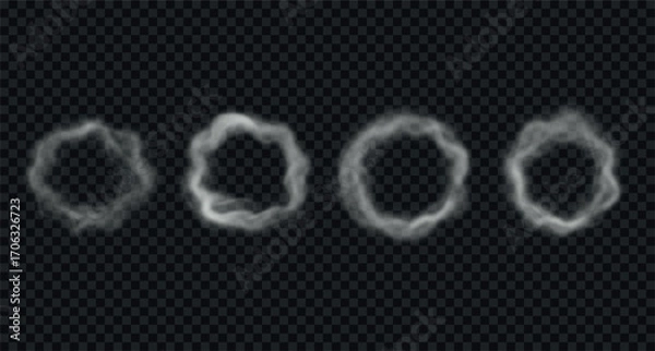 Fototapeta Set of vector flowing rings of smoke.
