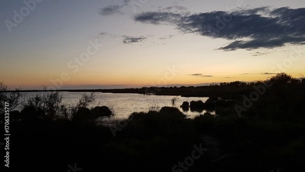 Obraz Etang de Vaccarès