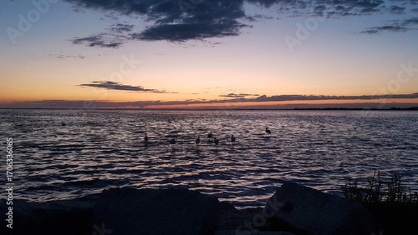 Obraz Etang de Vaccarès