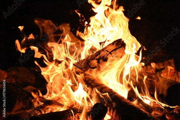 Fototapeta Fire Camp