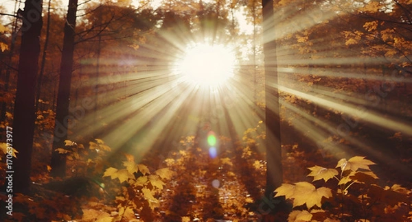 Fototapeta Golden Autumn Forest Sunlight Rays Shining Through Trees and Fallen Leaves, Creating a Magical and Serene Atmosphere