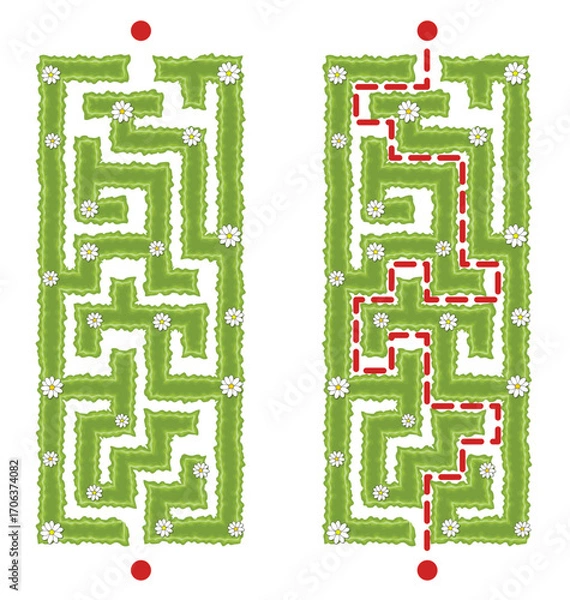 Fototapeta Green vertical hedge maze vector Illustration. Top view of the open air rectangular labyrinth made of garden bushes and grass. Education logic game for kids isolated on white.