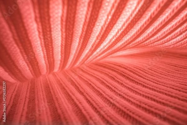 Obraz Abstract Coral Fabric Texture and Folds