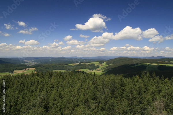 Fototapeta Schwarzwald II