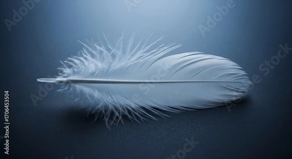 Fototapeta Delicate feather in blue: A pristine white feather, set against a serene blue backdrop, captures the essence of elegance and softness.