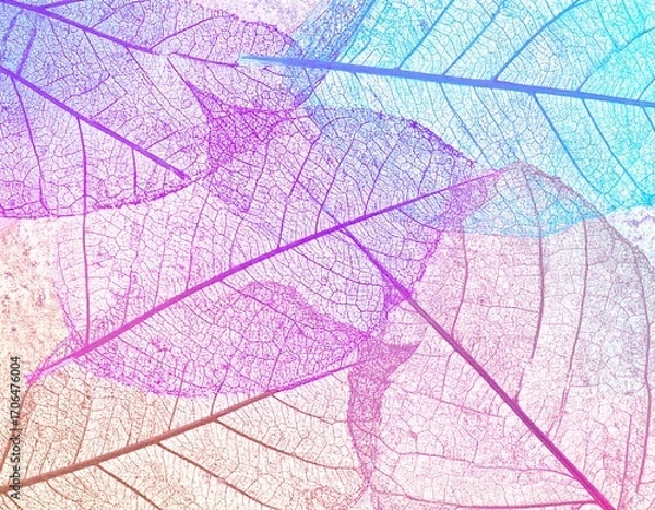 Fototapeta Colorful, translucent leaf veins