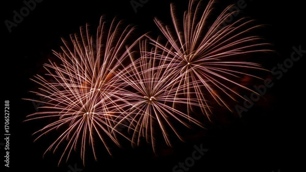 Obraz fireworks
